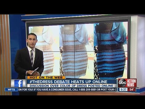 princess polly baby blue dress The Dress Explained. White And Gold or Blue And Black? FINAL JUDGMENT main image 1