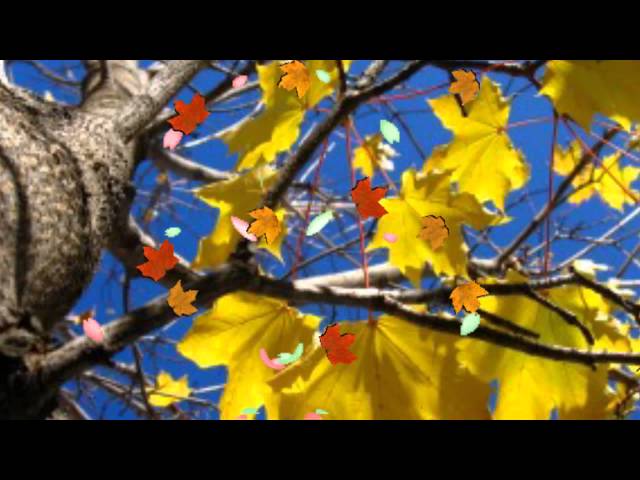 Чародей Листопад - YouTube