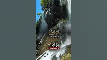تلاوة خاشعة عطرة مباركة جميلة عذبة للشيخ ماهر المعيقلي ماتيسر من سورة الأعلى