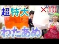 【ふわっふわ】夢の超大きいわたあめ作ってみた！【毎日19時！立石学園】