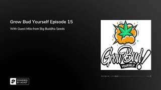 Grow Bud Yourself Episode 15 - Guest: Milo of Big Buddha Seeds
