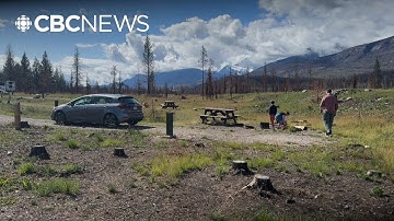 Expect a new landscape at Jasper campgrounds one year after wildfire