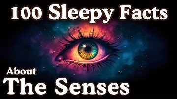 The Most Relaxing Facts About The Senses to Fall Asleep To