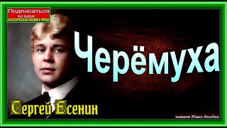 Реферат Есенин Биография