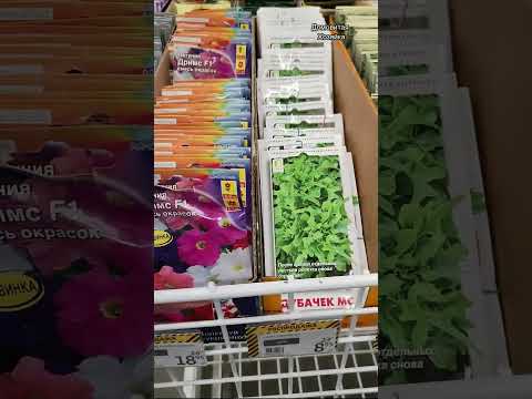 Купить семена по хорошей цене в Ашан на распродаже/ Auchan seeds Rostow am Don