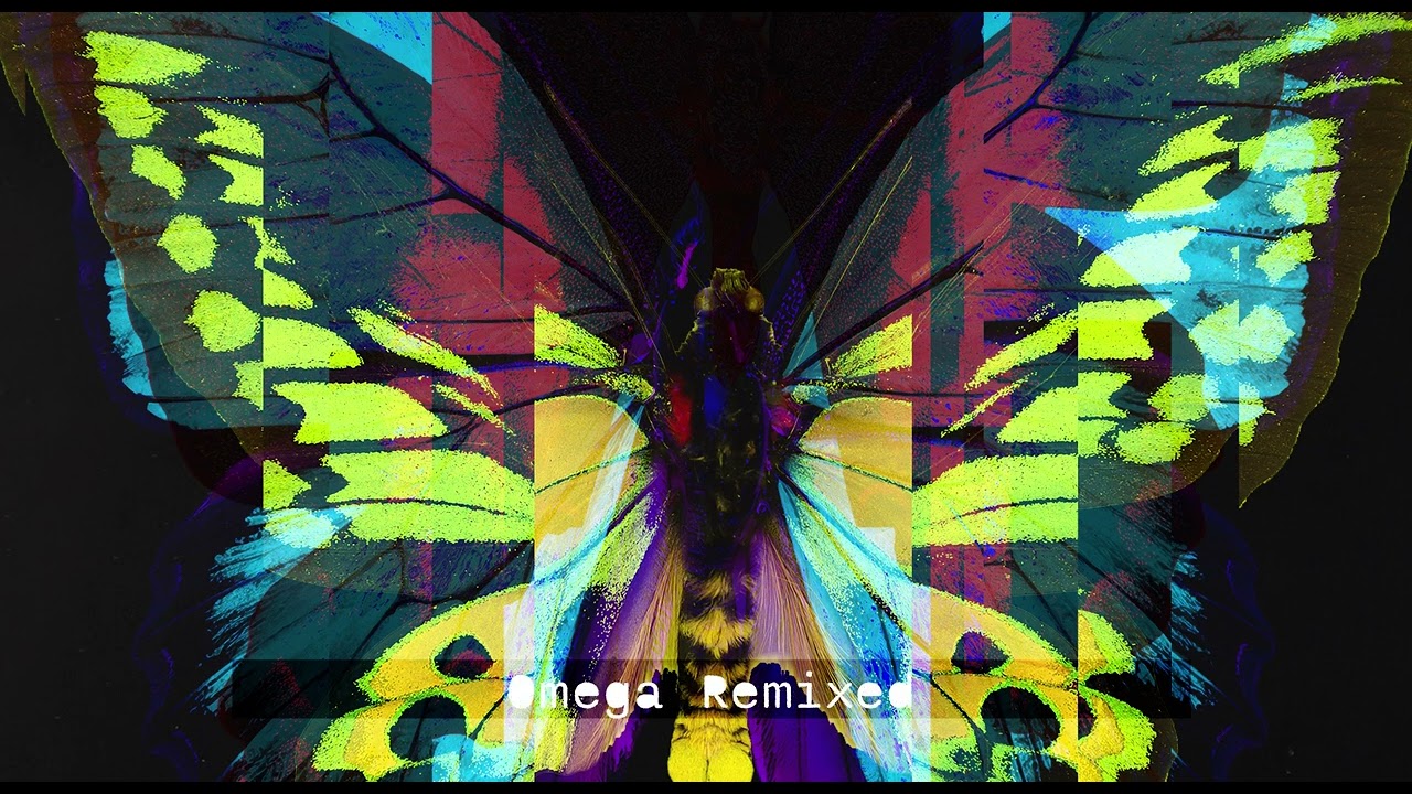 チョウの標本 - Bitplane's Booth - BOOTH