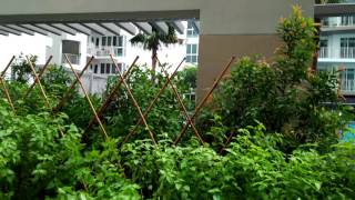 Oppo A37 Camera Test!