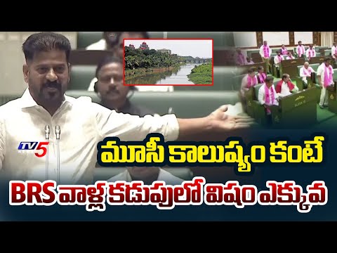 Cm Revanth Reddy Satirical Comments On Harish Rao | Telangana Politics | TV5 News - TV5NEWS