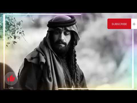 هزت شعوري شعر قصيد حالات واتساب تراث البدو والبادية قصيد بدوي