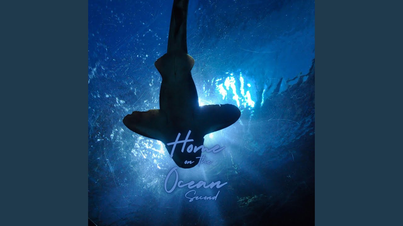 Watch Magic Fish on YouTube Watch Magic Fish on YouTube