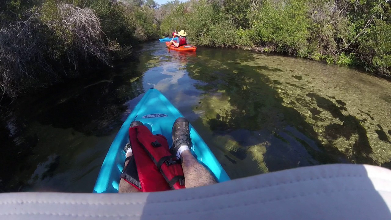 Kayaking Juniper Springs near Ocala YouTube