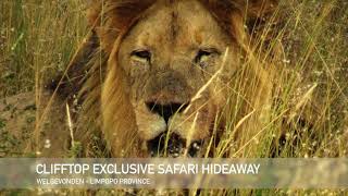 Clifftop Exclusive Safari Hideaway Short Video Clip