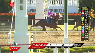 Vidéo de la course PMU TORRENS H.