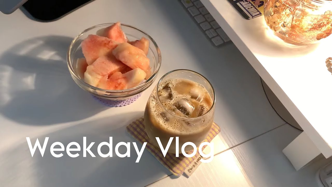 vlog | 就活と研究に追われる夏のはじまり🎐