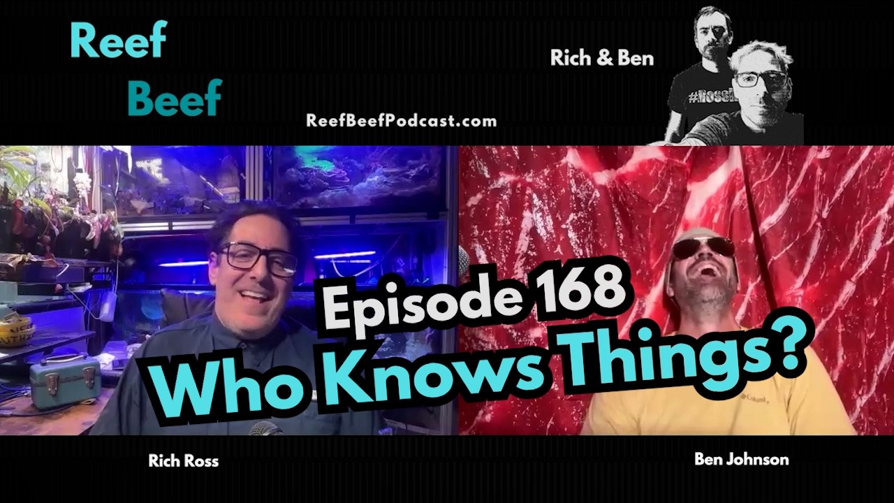 Who Knows Things? - Episode 168 - Reef Beef Podcast.
In this episode Rich and Ben talk about where people get educated about aquariums, Rich’s aquarium server, and how perfect is the enemy of good.

Thank you to our sponsors:
Saltwater Aquarium: https://tinyurl.com/RBSaltwaterAquarium
Saltwater Aquarium Wholesale: https://tinyurl.com/SWAWholesale
Aquatic Collection: https://aquaticcollection.com/
PolypLab: https://www.polyplab.com/
Champion Lighting: https://www.championlighting.com/
Champion Lighting Wholesale: https://www.championlightingdealer.com/

Links:
Peecebo: https://reefbeefpodcast.com/peecebo/
Merch is now available! https://reefbeefpodcast.com/merch/
Join our Discord: https://discord.gg/reefbeef
Get notified of new episodes by receiving an email from Reef Beef! https://reefbeefpodcast.com/notify/
Get our help / advice: https://reefbeefpodcast.com/consult/
Buy Reef Beef a Beer! https://reefbeefpodcast.com
Become a Member: https://reefbeefpodcast.com/membership

Follow Us:
Youtube Channel: https://www.youtube.com/@ReefBeefPodcast
Spotify: https://open.spotify.com/show/0KA5CRWWe8dDmitJGOAG1J
Apple Podcast: https://podcasts.apple.com/us/podcast/reef-beef/id1552005275
Amazon: https://music.amazon.com/podcasts/db09c6a8-5f0e-46c2-ac2d-25ed555a549f/reef-beef
Player.fm: https://player.fm/series/reef-beef
Overcast: https://overcast.fm/itunes1552005275
Audible: https://audible.com/pd/B08JJNKYLG

Time Stamps
00:00:00 Intro
00:01:31 Rich’s Aquarium Server
00:11:48 SPONSOR: SaltwaterAquarium.com
00:12:43 Analyzing aquarium data
00:21:52 SPONSOR: AquaticCollection.com
00:23:02 Have an observation tank
00:29:24 Aquarium Education
00:38:25 SPONSOR: PolypLab
00:39:46 Perfect is the enemy of good
00:49:44 SPONSOR: Champion Lighting and Supply
00:50:42 Where to get educated
01:06:56 Wrap Up
01:08:26 Bloopers

#ReefBeef #Aquarium #AquariumPodcast