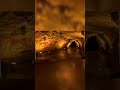 This Cave Painting is 36,000 Years Old!? 🤯 Ardèche’s Hidden Art #ytshorts #facts #rareplaces #reels