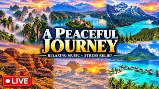 Let Your Mind Wander 🌿 Relaxing Music & Breathtaking Nature for Deep Relaxation | LIVE screenshot 1