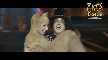 1/24(金)公開「キャッツ」メイキング＋予告映像