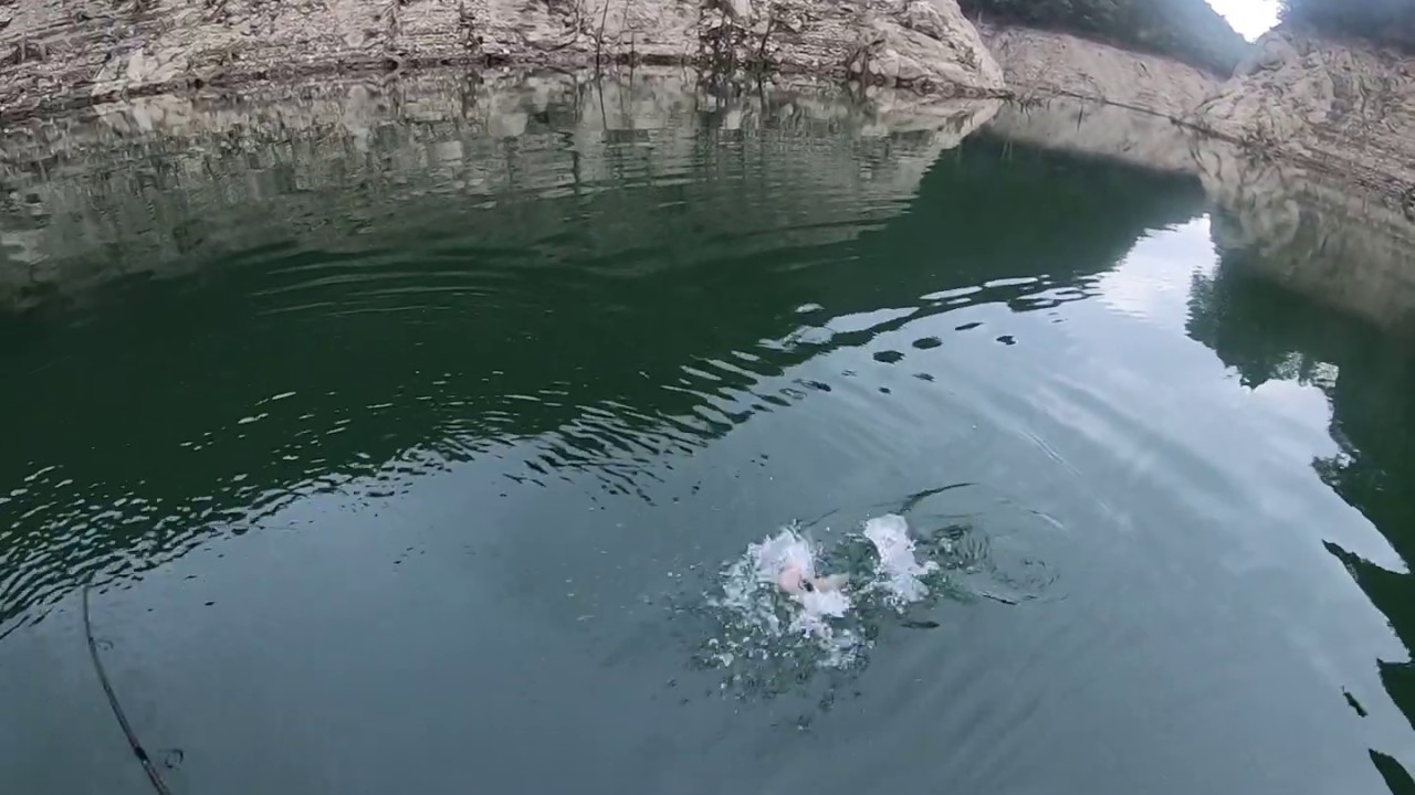 つりどうぐ一休リザーバー福山バス釣り動画 池原ダム ディスタイル ヴィローラのミドストで45センチget Youtube つりどうぐ一休リザーバー福山バス釣り動画 池原ダム ディスタイル ヴィローラのミドストで45センチget Youtube
