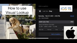 Famous How To Use Visual Lookup - iOS 15 Wealth