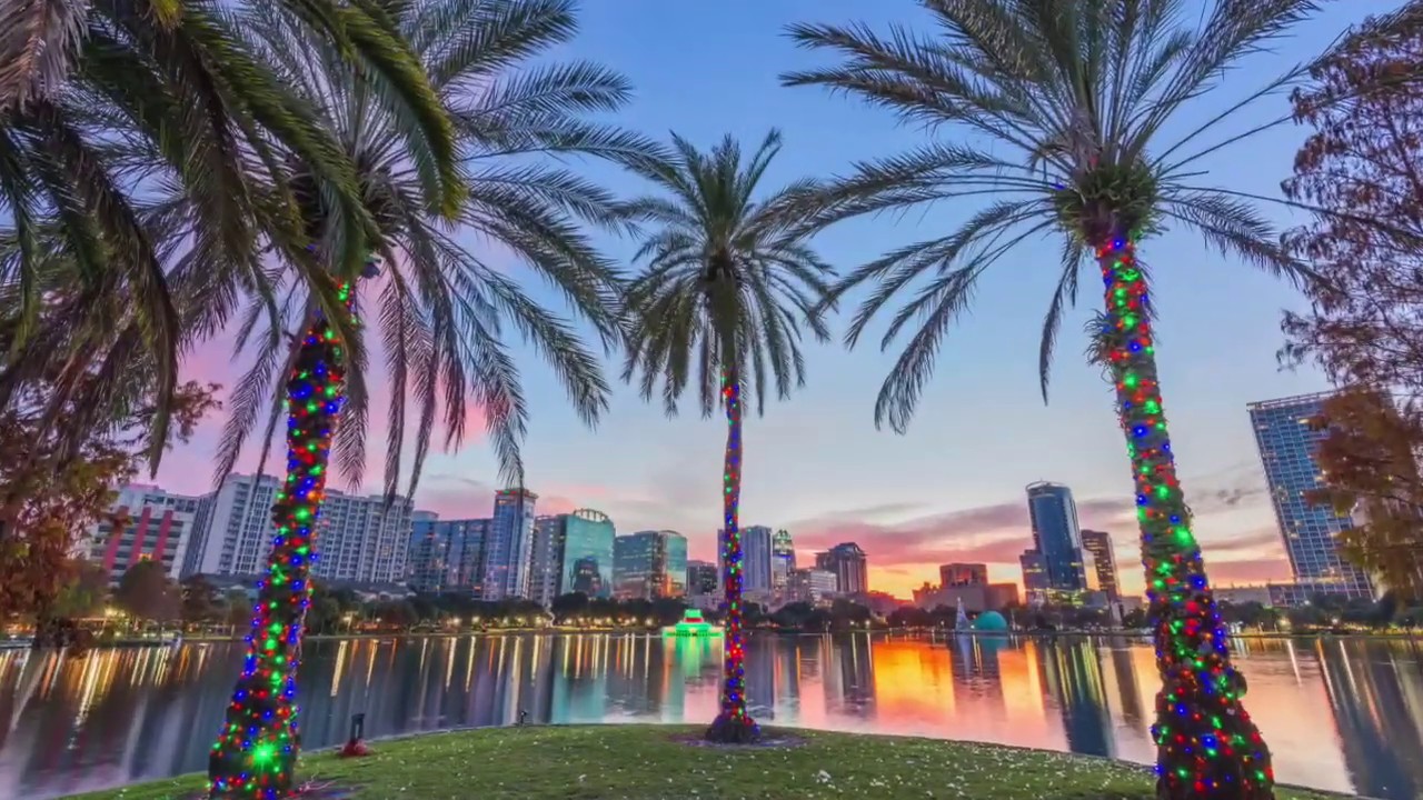 Everlastrings Expandable Light Strings