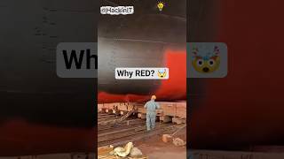 Why Is the Ship’s Hull Red?The Surprising Reason!#DidYouKnow #Shipfact #knowledge #funfacts #shorts