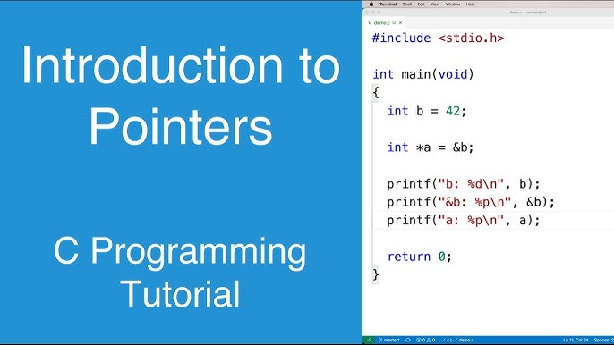 C Programming Basics: Flow Control, Variables, and Pointers Online Class