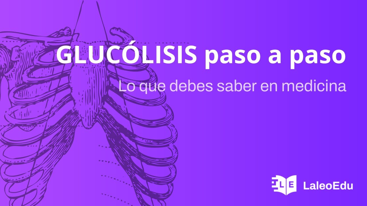 Glucólisis. Todo lo que debes aprender de glucólisis para la escuela. Nivel universitario.