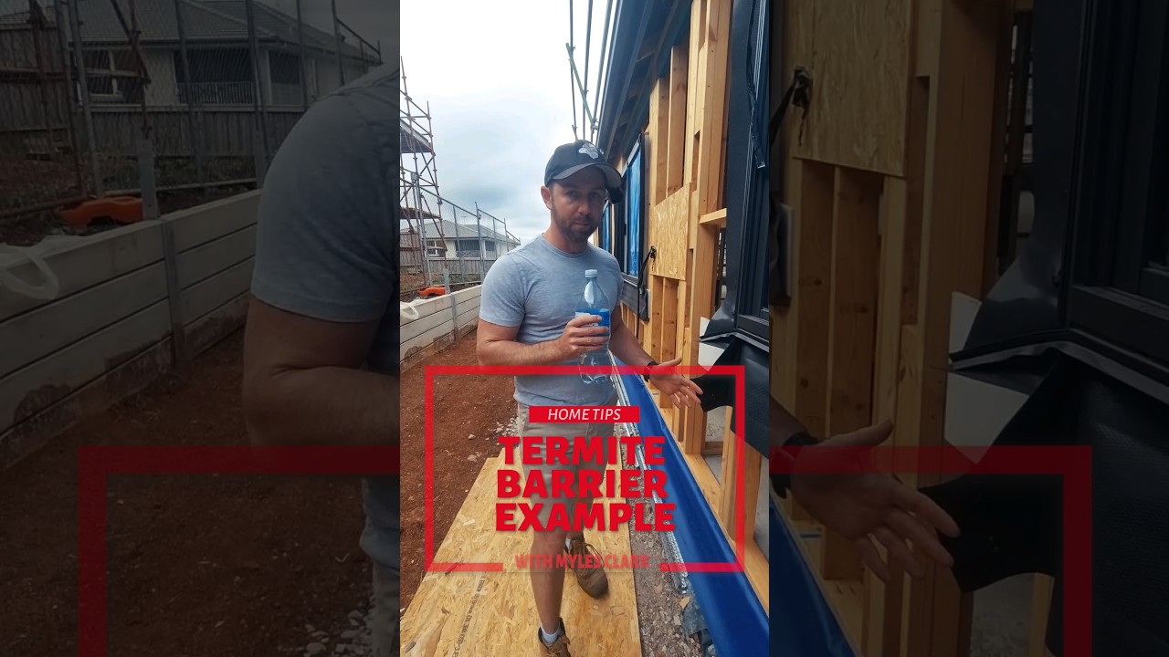 What a physical termite barrier looks like? This is an example. #termites #australia