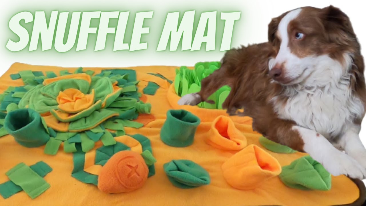 What is a Snuffle Mat and Why Does Your Dog Need One?