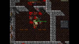 Tibia Trimera - Isle Of Evil