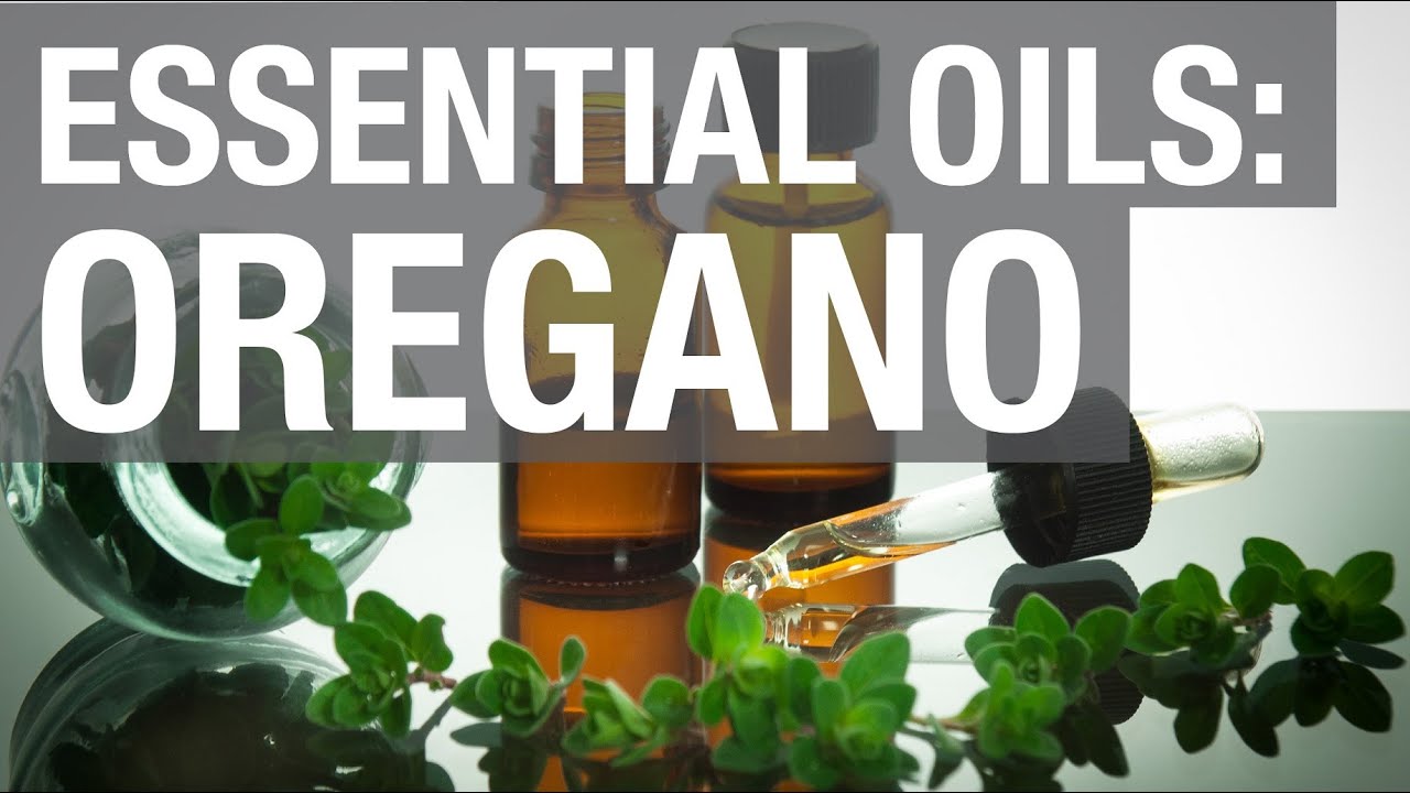 Essential Oils: Oil of Oregano