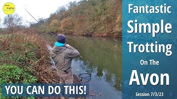 Fantastic River Fishing - Stick Float Trotting The Avon For Big Chub - 7/3/23 (Video 391)