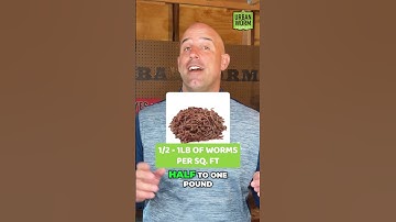 Worm Farm Basics: How Many Worms Do I Start My Worm Farm With? #vermicomposting #organicgardening
