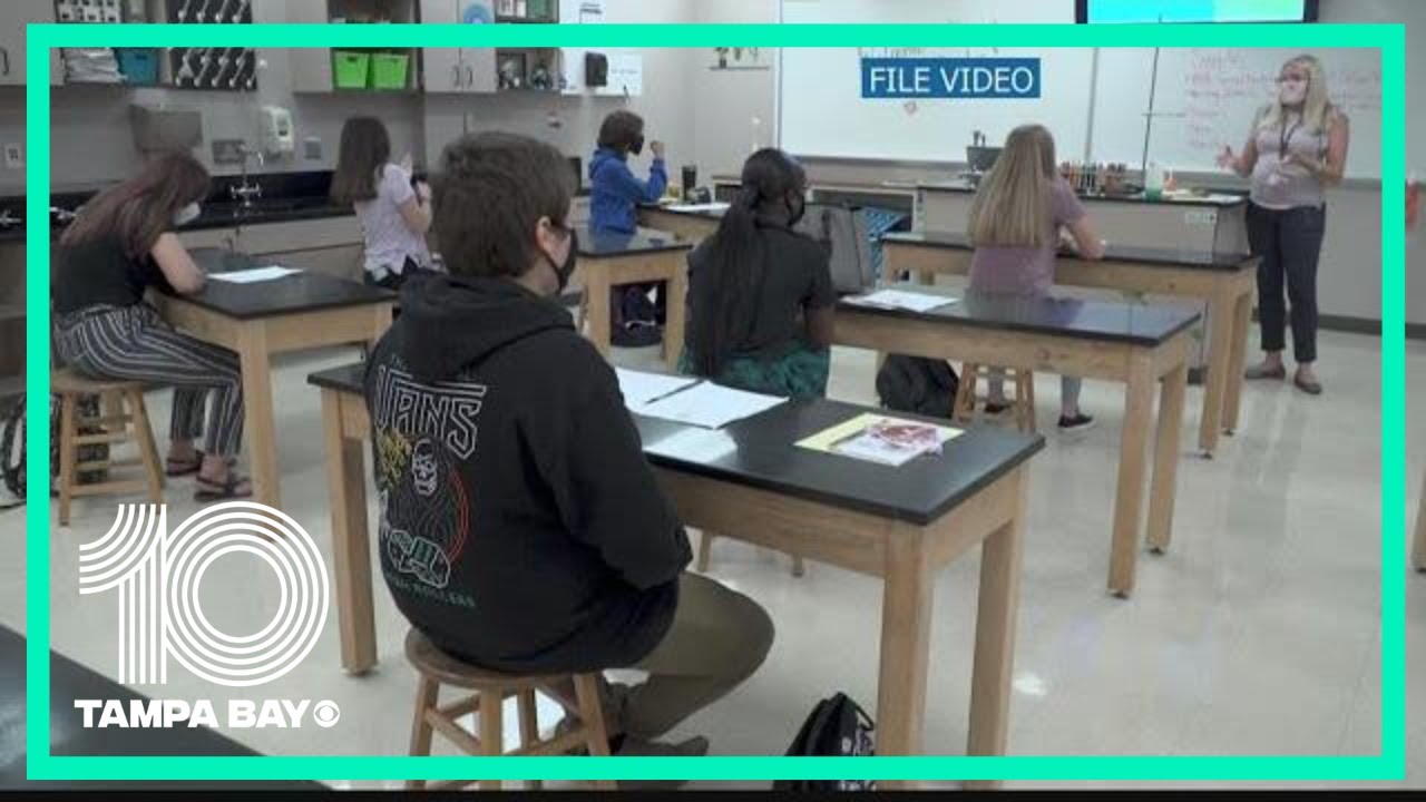 Hillsborough County School Board is redistricting electoral boundaries ...