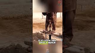 Como Cavam Poços De 120 Metros Com Ferramentas Simples