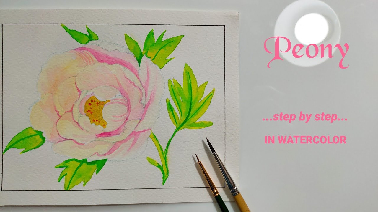 How to paint peony, step by step in watercolor for beginner - YouTube