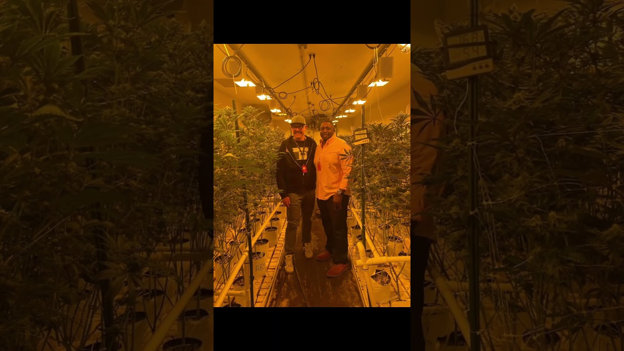 Colorado Harvest Company Dispensers tour 