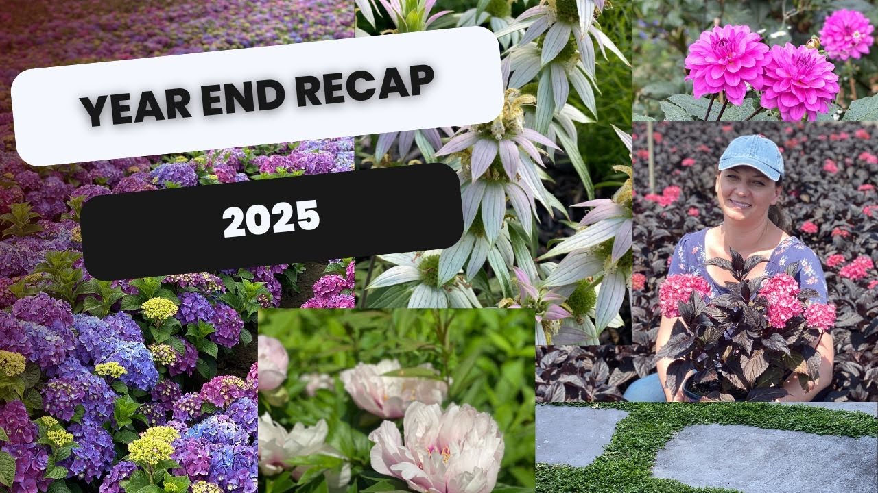 🌸 2025 Year Recap - Garden - Plants - Projects - and Beyond 🌸