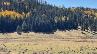Video Of Jemez Dispersed, Nm From John H.