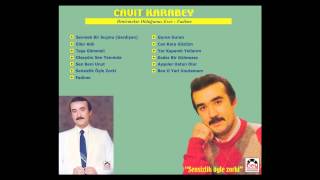 Fadime - Cavit Karabey Resimi