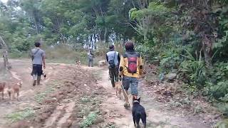 buru babi edisi minggu 06-10-2019 part 2