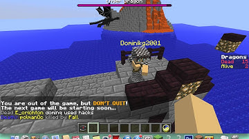 Mineplex Arcade- Dragons- Hacker Report