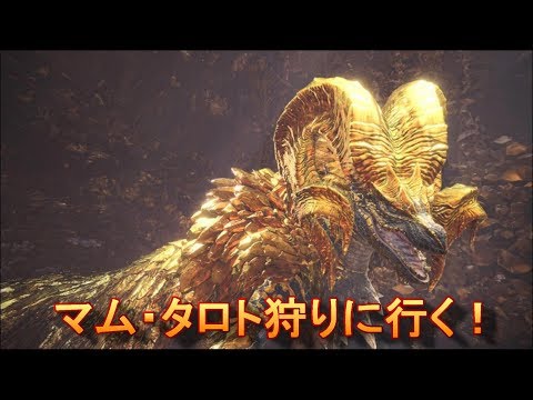 Mhw レア度7 8の装飾品無しのライトボウガン装備紹介 ゆっくり実況 Youtube