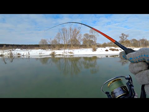 ЭТУ ЩУКУ НЕВОЗМОЖНО УДЕРЖАТЬ, она прёт как паровоз. Рыбалка на спиннинг