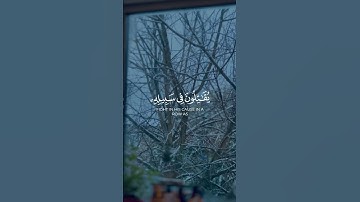 إِنَّ اللَّهَ يُحِبُّ الَّذِينَ يُقَاتِلُونَ فِي سَبِيلِهِ صَفًّا | #quran #قرآن #المنشاوي #تلاوات