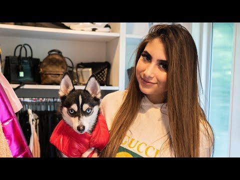 shopping-at-gucci-for-my-dog-|-nicolette-gray