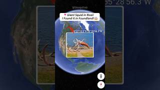 Monster Squid found in real on google maps & google earth! #shorts
