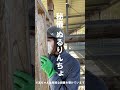 新しい網で卵を取ろうと思ったけど…【美里オーストリッチファーム】