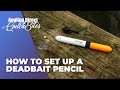 Comment monter un flotteur deadbait pencil quickbite pour la pche aux carnassiers